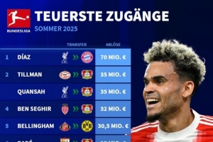 德甲今夏引援榜：迪亞斯7000萬斷崖領(lǐng)跑，蒂爾曼&寬薩領(lǐng)銜藥廠5將