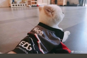 Deft和PawN發(fā)文送別Nice：下次再見吧；小寶貝心理教練Nice