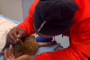 巴舒亞伊深情告別因車禍離世的愛貓：安息吧，我的兒子