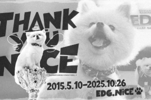 EDG官宣隊寵Nice“退役”：最可愛的寶貝正式啟程前往下一站汪星