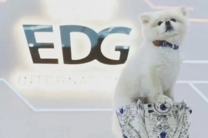 EDG隊寵Nice去了汪星？昨晚Nice微博賬號更新：永遠愛奈奈