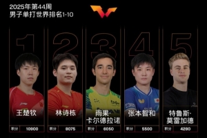 WTT男單最新世界排名：王楚欽林詩(shī)棟前二，梁靖崑第6，向鵬第9