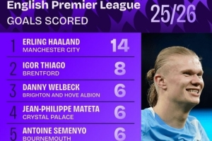 本賽季英超進(jìn)球榜：哈蘭德14球居首，維爾貝克、姆伯莫在列