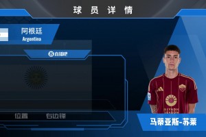 蘇萊球員集錦：潛力十足的阿根廷中場