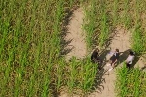 排面啊獨(dú)行俠狀元弗拉格走進(jìn)有著自己巨幅剪影的玉米地~~