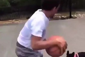 還是你會玩特雷-楊遭遇小黑狗狗防守，花式運(yùn)球戲耍+嘲諷~